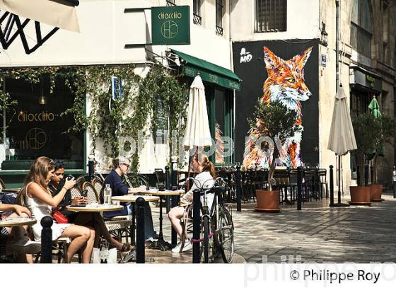 QUARTIER SAINT PIERRE, VILLE DE BORDEAUX, GIRONDE. (33F35801.jpg)