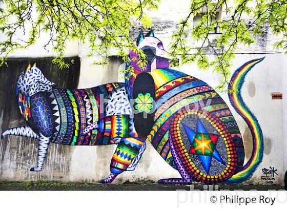 GRAFFITI, STREET ART, QUARTIER CHARTRONS, BORDEAUX, GIRONDE. (33F35831.jpg)