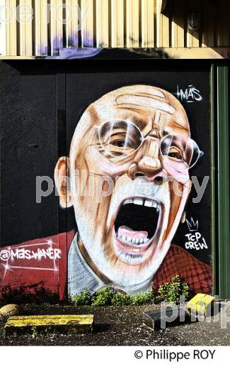 GRAFFITI, STREET ART, DARWIN, QUARTIER DE LA BASTIDE,  BORDEAUX, GIRONDE. (33F36008.jpg)