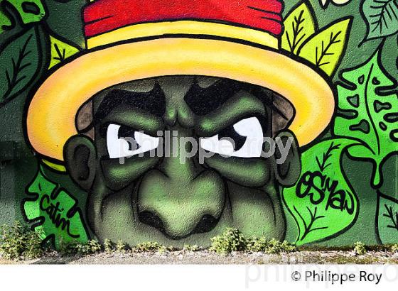 GRAFFITI, STREET ART, DARWIN, QUARTIER DE LA BASTIDE, BORDEAUX, GIRONDE. (33F36011.jpg)