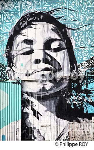 GRAFFITI, STREET ART, DARWIN, QUARTIER DE LA BASTIDE, BORDEAUX, GIRONDE. (33F36032.jpg)