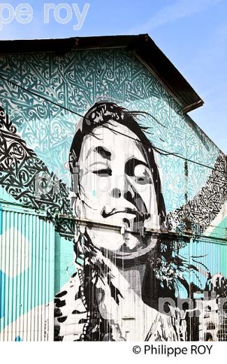 GRAFFITI, STREET ART, DARWIN, QUARTIER DE LA BASTIDE, BORDEAUX, GIRONDE. (33F36033.jpg)