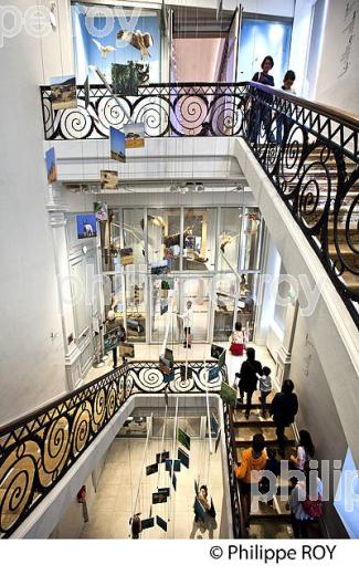 LE MUSEUM, JARDIN PUBLIC , VILLE DE BORDEAUX, GIRONDE. (33F36231.jpg)