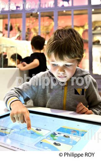 LE MUSEUM, JARDIN PUBLIC , VILLE DE BORDEAUX, GIRONDE. (33F36234.jpg)