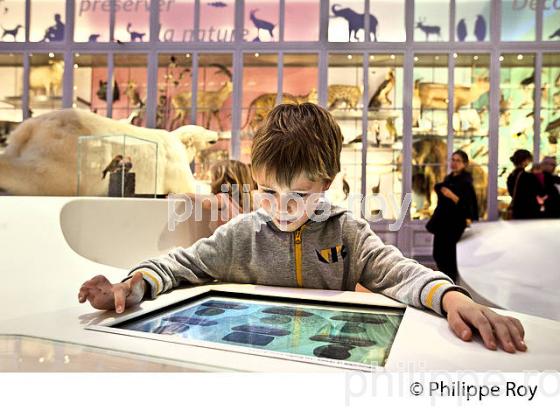 LE MUSEUM, JARDIN PUBLIC , VILLE DE BORDEAUX, GIRONDE. (33F36235.jpg)