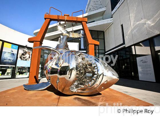 MUSEE MER MARINE, BASSIN A FLOT, URBANISATION , QUARTIER DE BACALAN , BORDEAUX . (33F36604.jpg)