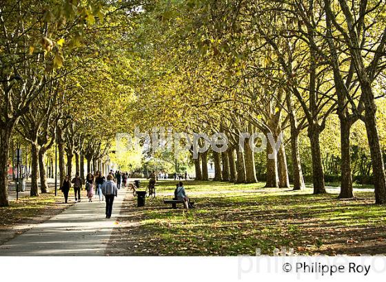 PARC AUX ANGELIQUES, QUARTIER BASTIDE, BORDEAUX, GIRONDE. (33F36623.jpg)