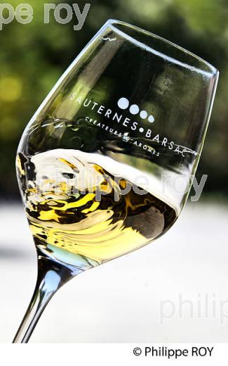VERRE DE VIN DE SAUTERNES, SAUTERNES BARSAC, GIRONDE. (33F36631.jpg)