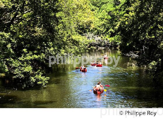 DESCENTE DU CIRON EN CANOE, ROUTE DES VINS DE GRAVES ET SAUTERNES, GIRONDE. (33F36709.jpg)