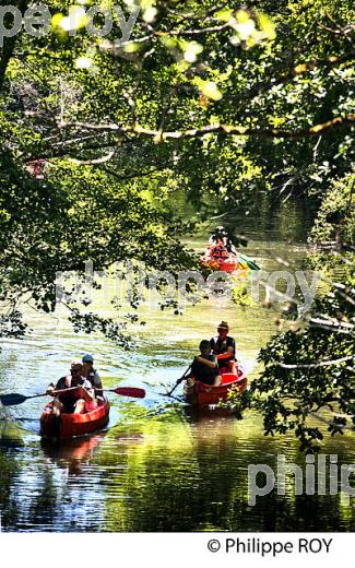 DESCENTE DU CIRON EN CANOE, ROUTE DES VINS DE GRAVES ET SAUTERNES, GIRONDE. (33F36720.jpg)