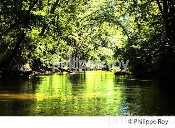 LE CIRON  ROUTE DES VINS DE  GRAVES ET SAUTERNES, GIRONDE. (33F36722.jpg)