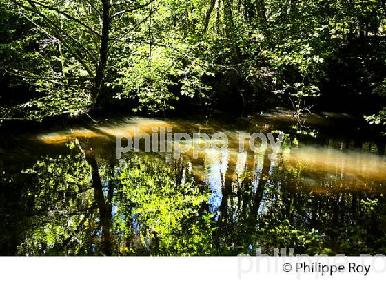LE CIRON  ROUTE DES VINS DE  GRAVES ET SAUTERNES, GIRONDE. (33F36725.jpg)