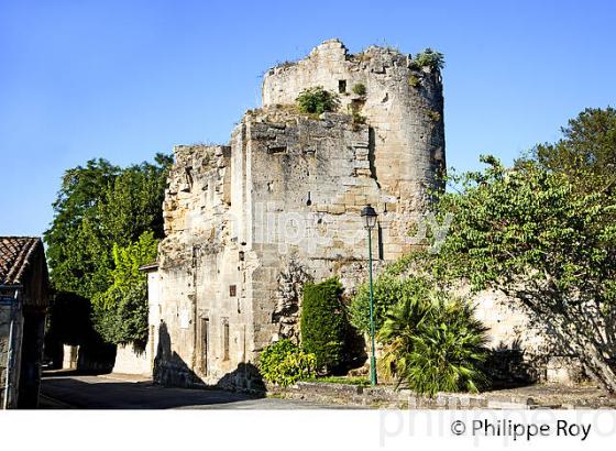 CITE FORTIFIEE DE BOURG SUR GIRONDE, ESTUAIRE DE LA GIRONDE, GIRONDE. (33F36824.jpg)