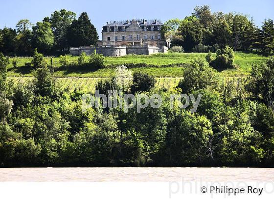 CHATEAU TAYAC, AOC, COTES DE BOURG, VINS DE BORDEAUX, GIRONDE. (33F36907.jpg)