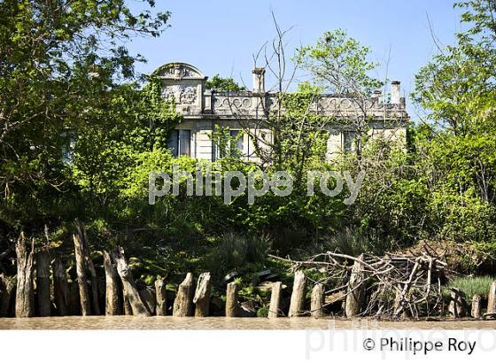 ILE DU NORD, ESTUAIRE DE LA GIRONDE, GIRONDE. (33F36919.jpg)