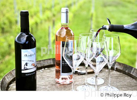 CLOS DU NOTAIRE, AOC,  COTES DE BOURG, VINS DE BORDEAUX,  GIRONDE. (33F36935.jpg)