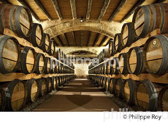 CHATEAU EYQUEM, COTES DE BOURG, CORNICHE DE GIRONDE,  BAYON, GIRONDE. (33F36936.jpg)