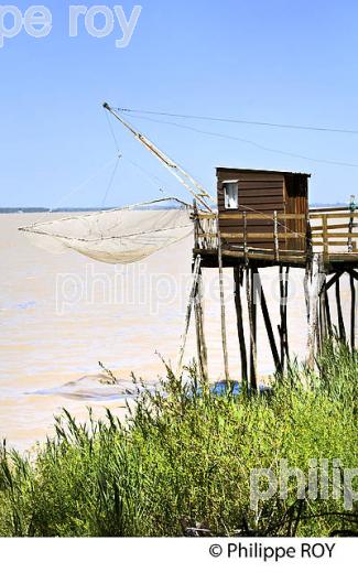 CARRELET, ROQUE DE THAU, GAURIAC, CORNICHE DE GIRONDE (33F37030.jpg)