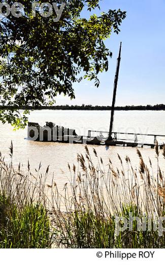 EPAVE DU FRISCO, CORNICHE DE GIRONDE, ESTUAIRE DE LA GIRONDE, GAURIAC, GIRONDE. (33F37031.jpg)