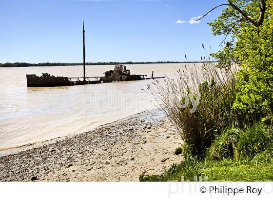 EPAVE DU FRISCO, CORNICHE DE GIRONDE, ESTUAIRE DE LA GIRONDE, GAURIAC, GIRONDE. (33F37033.jpg)