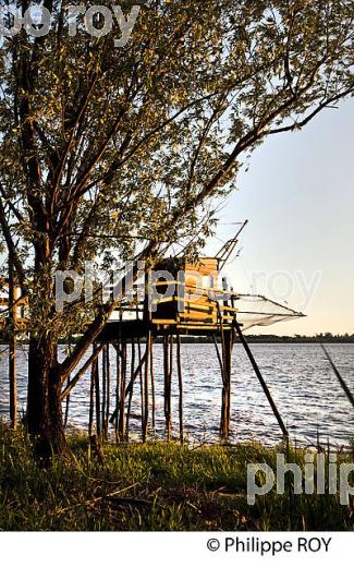 CARRELET, ROQUE DE THAU, GAURIAC, CORNICHE DE GIRONDE (33F37110.jpg)