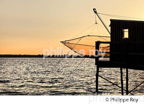 CARRELET, ROQUE DE THAU, GAURIAC, CORNICHE DE GIRONDE (33F37112.jpg)