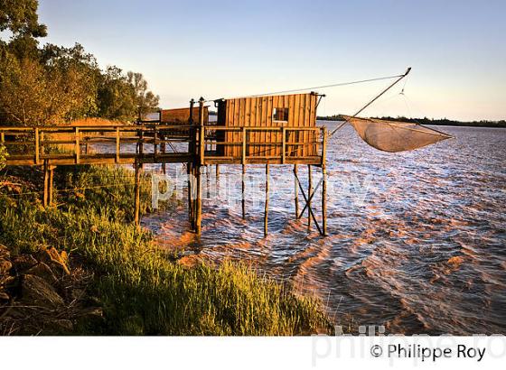 CARRELET, ROQUE DE THAU, GAURIAC, CORNICHE DE GIRONDE (33F37114.jpg)