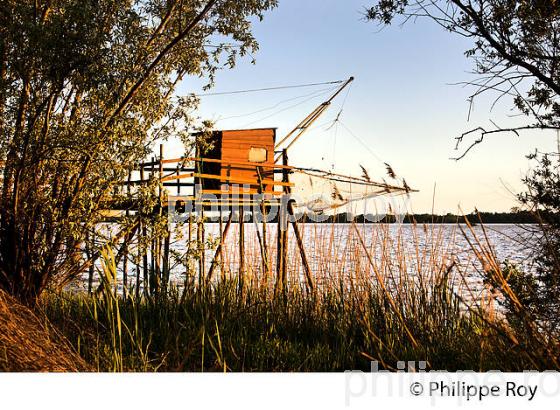 CARRELET, ROQUE DE THAU, GAURIAC, CORNICHE DE GIRONDE (33F37115.jpg)