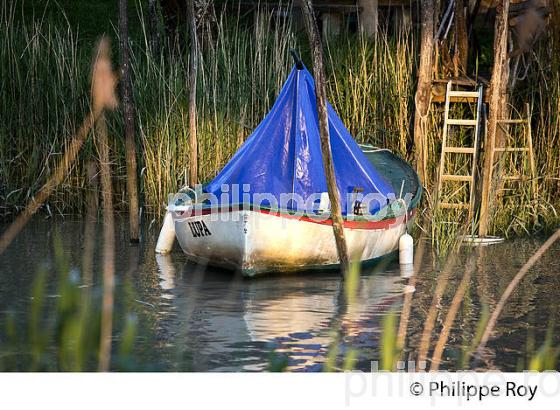 BARQUE DE PECHE, ROQUE DE THAU, GAURIAC, ESTUAIRE DE LA GIRONDE, CORNICHE DE GIRONDE. (33F37120.jpg)