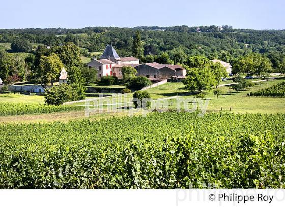 RANDONNEE PEDESTRE, BOUCLE DE LANGOIRAN, VIGNOBLE DE CADILLAC COTES DE BORDEAUX, GIRONDE. (33F37201.jpg)