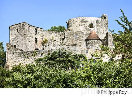 RANDONNEE PEDESTRE, BOUCLE DE LANGOIRAN, VIGNOBLE DE CADILLAC COTES DE BORDEAUX, GIRONDE. (33F37223.jpg)