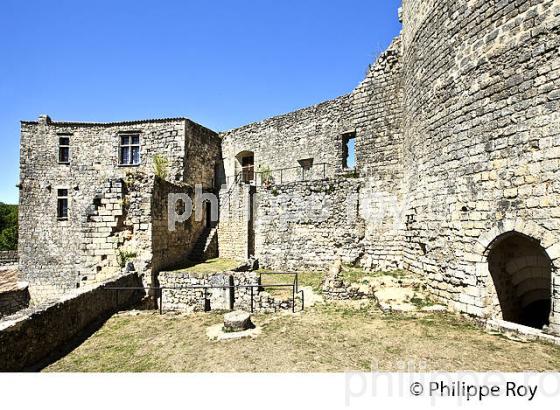 RANDONNEE PEDESTRE, BOUCLE DE LANGOIRAN, VIGNOBLE DE CADILLAC COTES DE BORDEAUX, GIRONDE. (33F37225.jpg)