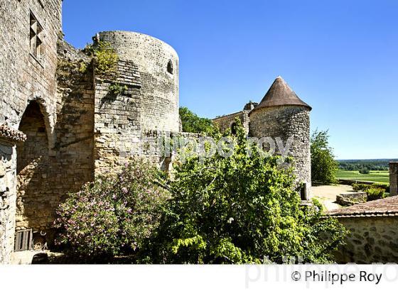 RANDONNEE PEDESTRE, BOUCLE DE LANGOIRAN, VIGNOBLE DE CADILLAC COTES DE BORDEAUX, GIRONDE. (33F37229.jpg)
