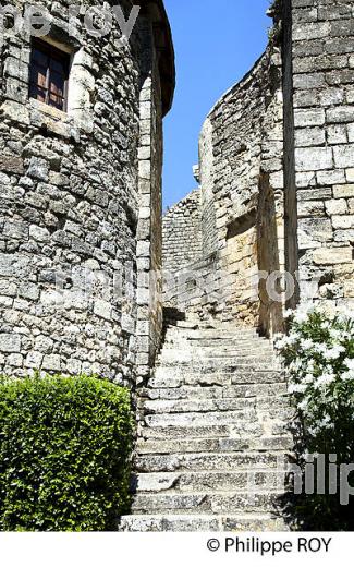 RANDONNEE PEDESTRE, BOUCLE DE LANGOIRAN, VIGNOBLE DE CADILLAC COTES DE BORDEAUX, GIRONDE. (33F37232.jpg)