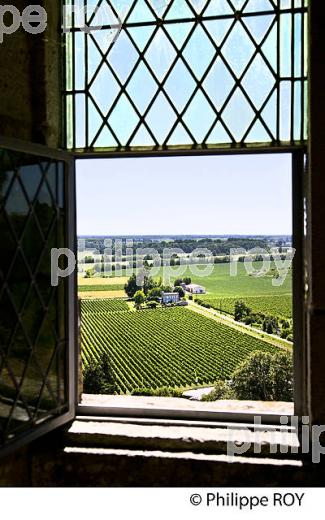 RANDONNEE PEDESTRE, BOUCLE DE LANGOIRAN, VIGNOBLE DE CADILLAC COTES DE BORDEAUX, GIRONDE. (33F37234.jpg)