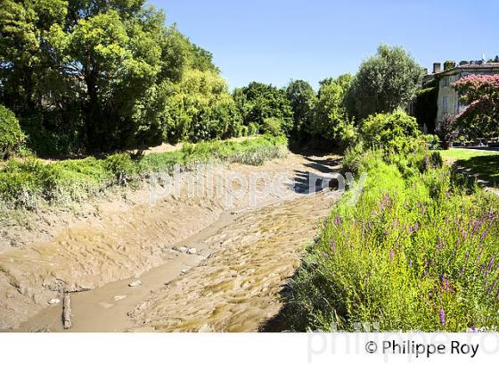 RANDONNEE PEDESTRE, BOUCLE DE LANGOIRAN, VIGNOBLE DE CADILLAC COTES DE BORDEAUX, GIRONDE. (33F37310.jpg)