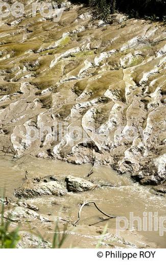 RANDONNEE PEDESTRE, BOUCLE DE LANGOIRAN, VIGNOBLE DE CADILLAC COTES DE BORDEAUX, GIRONDE. (33F37312.jpg)