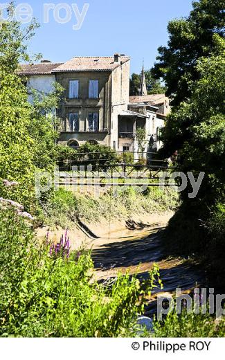 RANDONNEE PEDESTRE, BOUCLE DE LANGOIRAN, VIGNOBLE DE CADILLAC COTES DE BORDEAUX, GIRONDE. (33F37313.jpg)