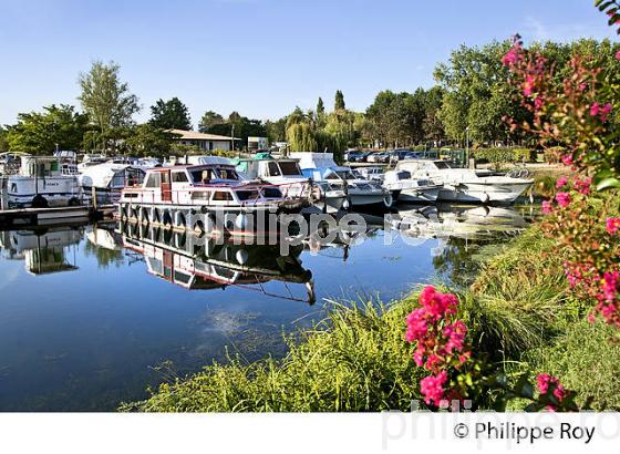 LE CANAL DE GARONNE , COMMUNE DE FONTET, VALLEE DE LA GARONNE,  REOLAIS, SUD  GIRONDE. (33F37334.jpg)
