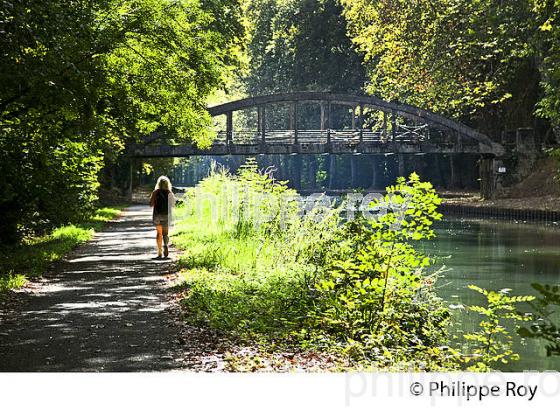 LE CANAL DE GARONNE , COMMUNE DE HURE,  VALLEE DE LA GARONNE, REOLAIS, SUD  GIRONDE. (33F37412.jpg)