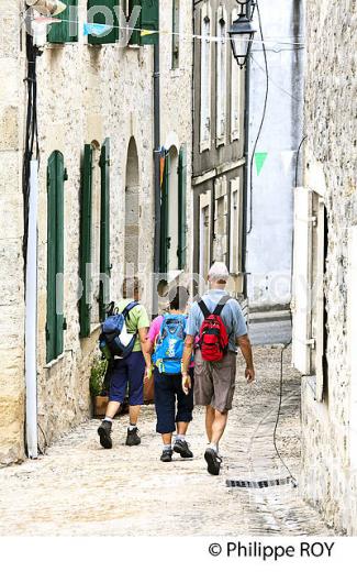 RANDONNEE PEDESTRE, CHEMIN DE SAINT JACQUES? COMMUNE  DE PALLEGRUE, ENTRE DEUX MERS,  GIRONDE. (33F37704.jpg)