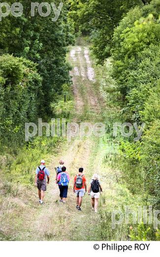 RANDONNEE PEDESTRE, CHEMIN DE SAINT JACQUES? COMMUNE  DE PALLEGRUE, ENTRE DEUX MERS,  GIRONDE. (33F37718.jpg)