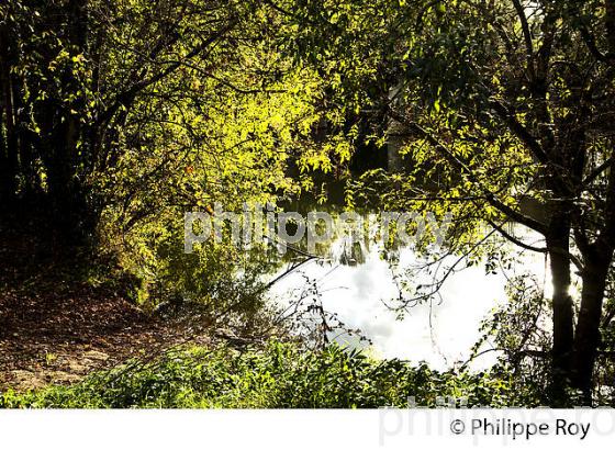 LE DROPT, VILLAGE FORTIFIE DE  MONSEGUR, ENTRE DEUX MERS,  GIRONDE. (33F37803.jpg)
