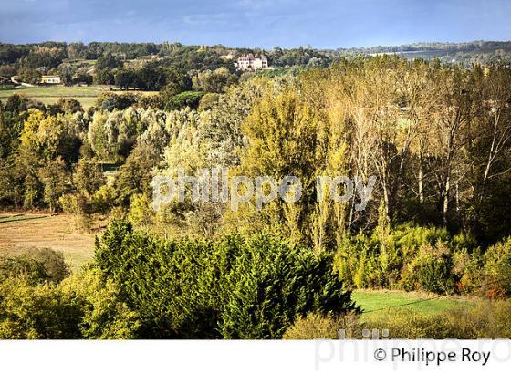 LE  VILLAGE FORTIFIE DE  MONSEGUR, ENTRE DEUX MERS,  GIRONDE. (33F37805.jpg)