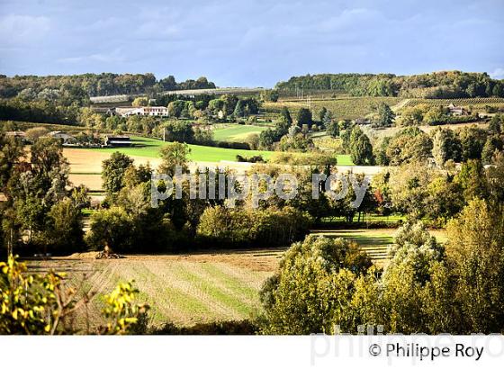 LE  VILLAGE FORTIFIE DE  MONSEGUR, ENTRE DEUX MERS,  GIRONDE. (33F37806.jpg)