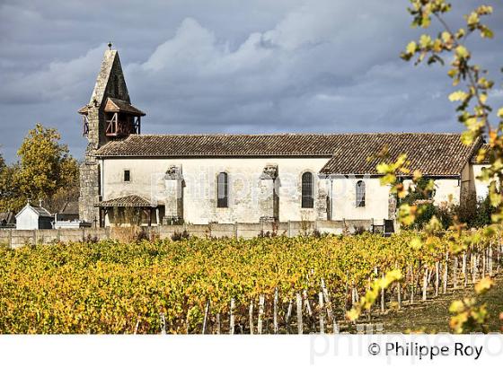 LE VILLAGE FORTIFIE DE SAINT HILAIRE DE LA NOAILLE, ENTRE DEUX MERS, GIRONDE. (33F37915.jpg)