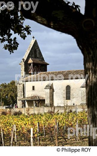 LE  VILLAGE FORTIFIE DE  SAINT HILAIRE DE LA NOAILLE, ENTRE DEUX MERS,  GIRONDE. (33F37918.jpg)