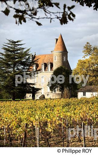 LE  VILLAGE FORTIFIE DE  SAINT HILAIRE DE LA NOAILLE, ENTRE DEUX MERS,  GIRONDE. (33F37920.jpg)
