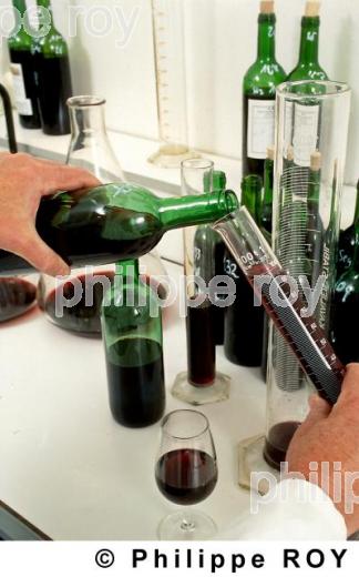 Oenologie - Vin de Bordeaux (33V02939.jpg)