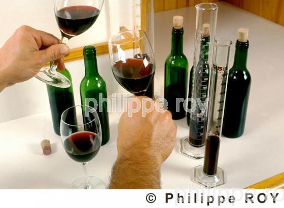 Oenologie - Vin de Bordeaux (33V03012.jpg)